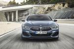BMW M850i xDrive 2018 года (WW)